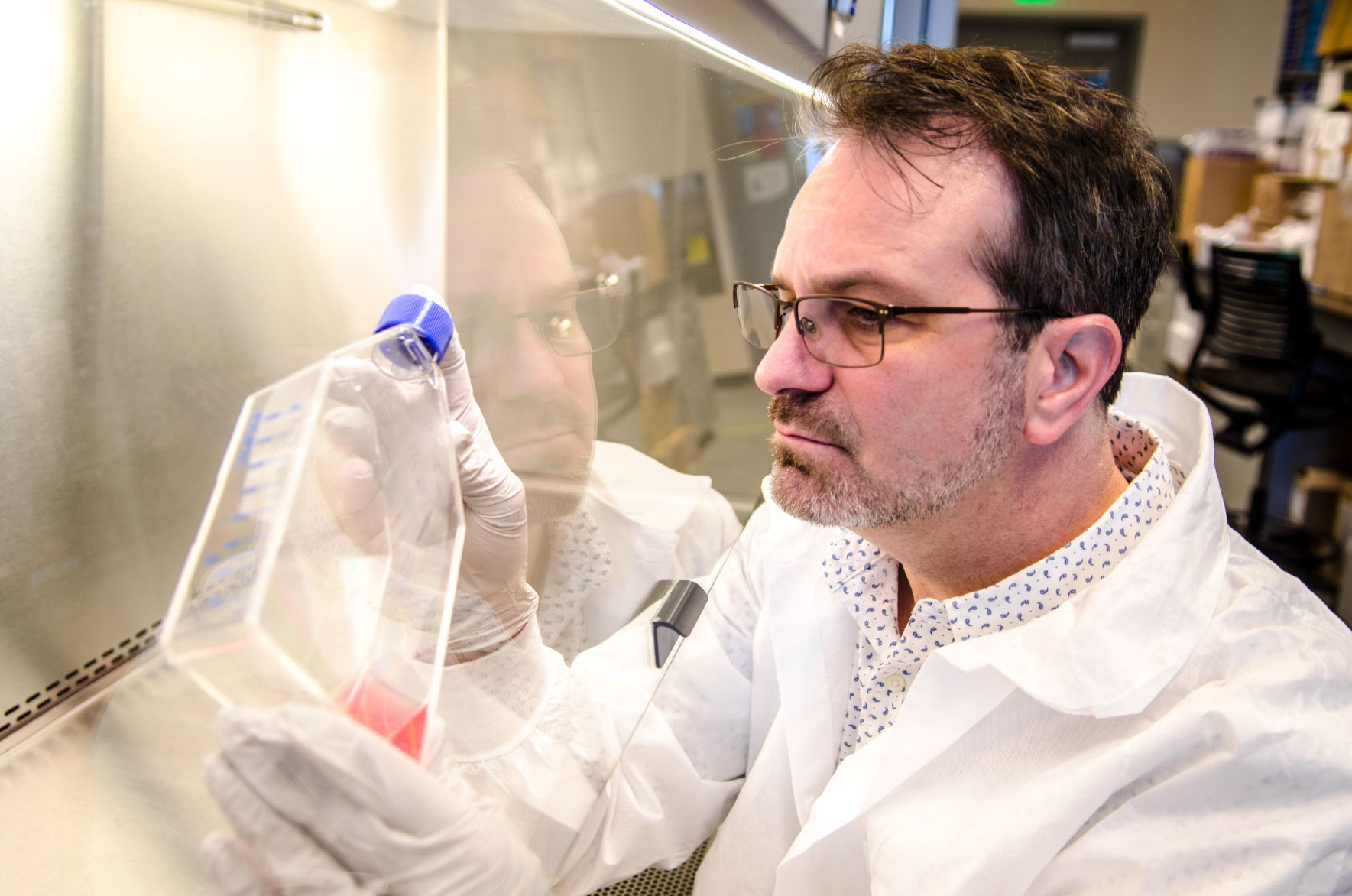 Studying the coronavirus